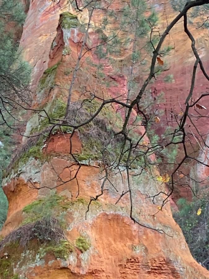 Roussillon en Isere Villa Des Roses מראה חיצוני תמונה