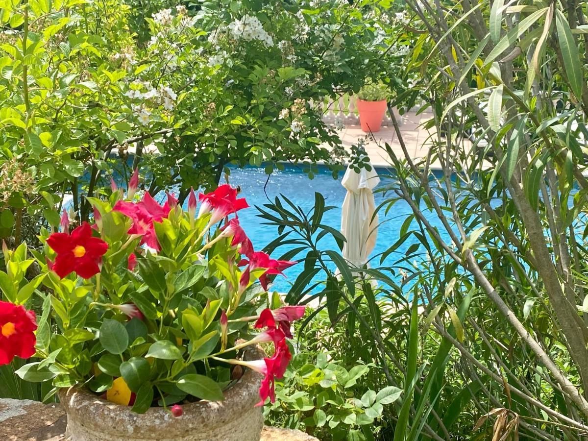 Roussillon en Isere Villa Des Roses מראה חיצוני תמונה
