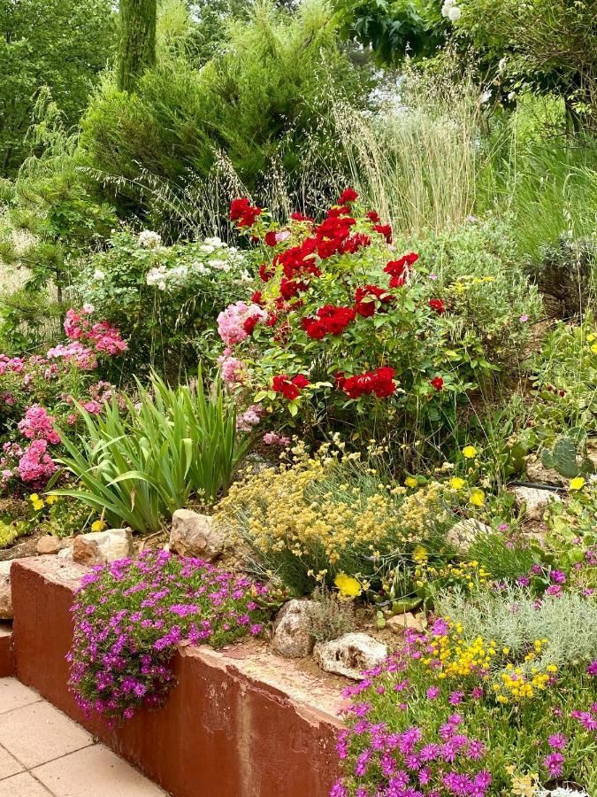 Roussillon en Isere Villa Des Roses מראה חיצוני תמונה