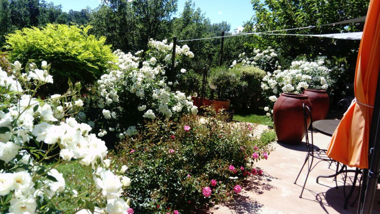 Roussillon en Isere Villa Des Roses מראה חיצוני תמונה